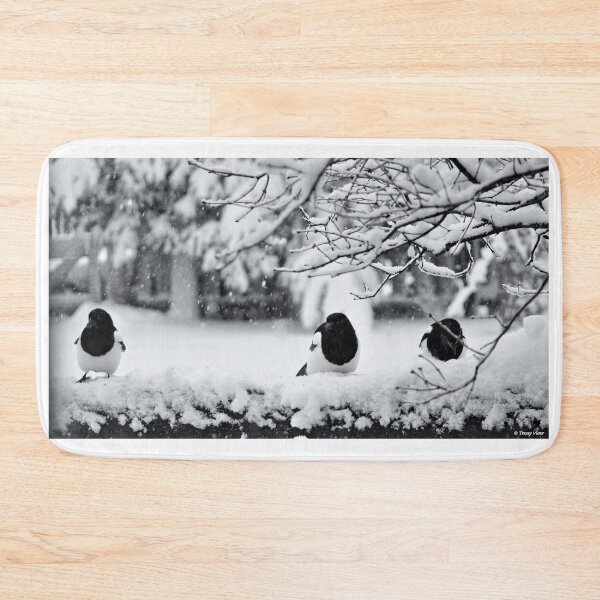 Item preview, Magpie Triplets in the Snow, Black and White designed and sold by Vivar Photo.