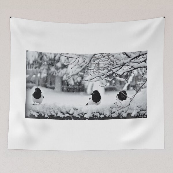 Item preview, Magpie Triplets in the Snow, Black and White designed and sold by Vivar Photo.