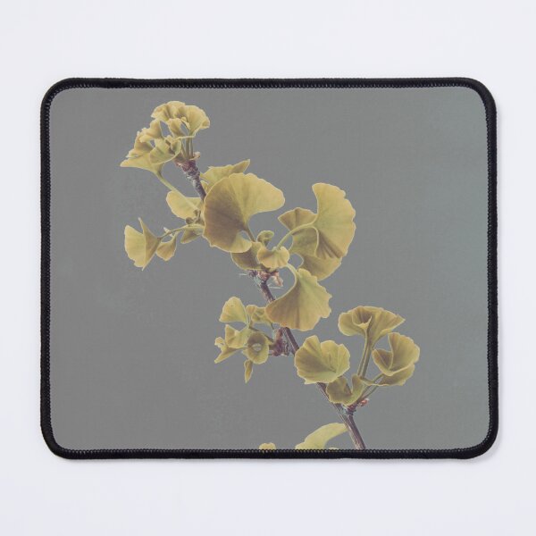 Item preview, Longevity 2.0 designed and sold by KAY Artists.