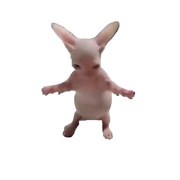 "BABY BINGUS BELOVED" Sticker for Sale by sadmothz | Redbubble