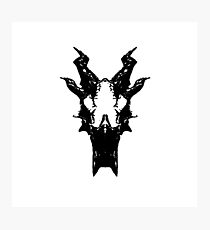 Frost Dragon Skull Photographic Print