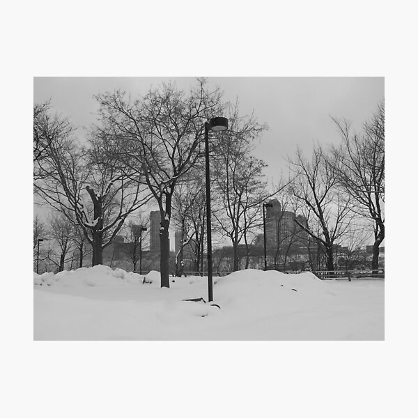 Winter Soul Photographic Print
