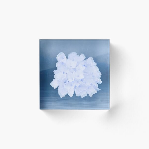 Item preview, Floating Blue Hydrangea  designed and sold by Designsbyshell.