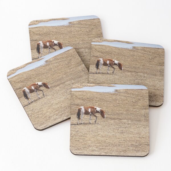 Item preview, Paint Horse on the Prowl designed and sold by Vivar Photo.