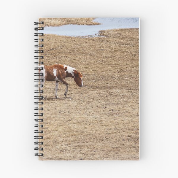 Item preview, Paint Horse on the Prowl designed and sold by Vivar Photo.