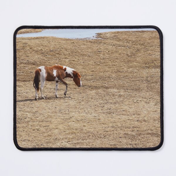Item preview, Paint Horse on the Prowl designed and sold by Vivar Photo.