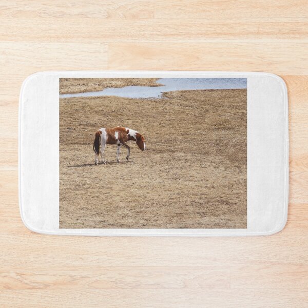 Item preview, Paint Horse on the Prowl designed and sold by Vivar Photo.