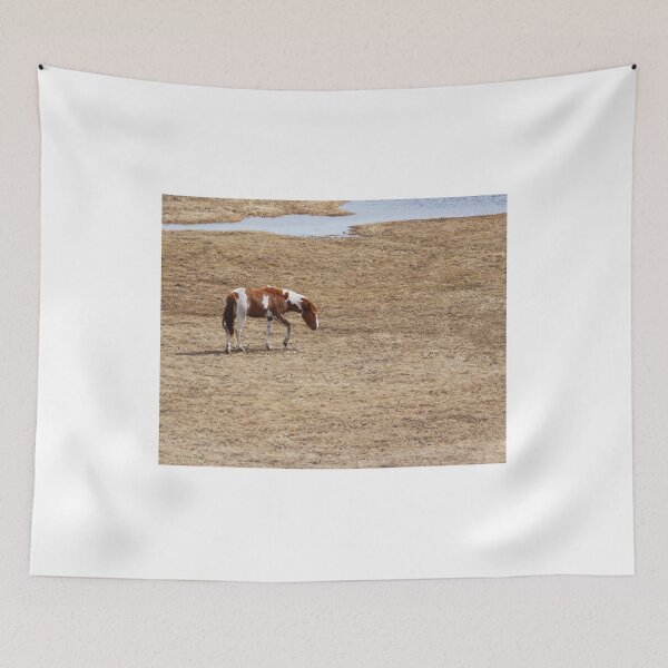Item preview, Paint Horse on the Prowl designed and sold by Vivar Photo.