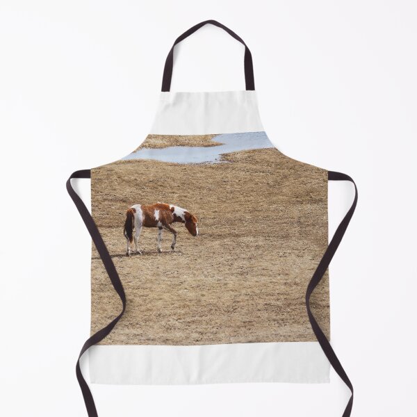 Item preview, Paint Horse on the Prowl designed and sold by Vivar Photo.