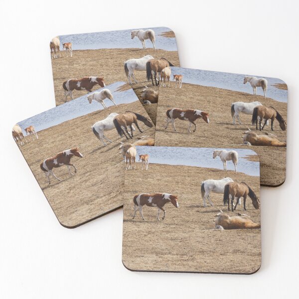 Item preview, Just a Day in the Life of a Herd 2 designed and sold by Vivar Photo.