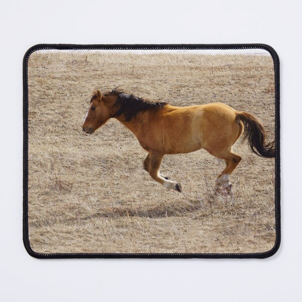 Item preview, Brown Horse On The Run designed and sold by Vivar Photo.