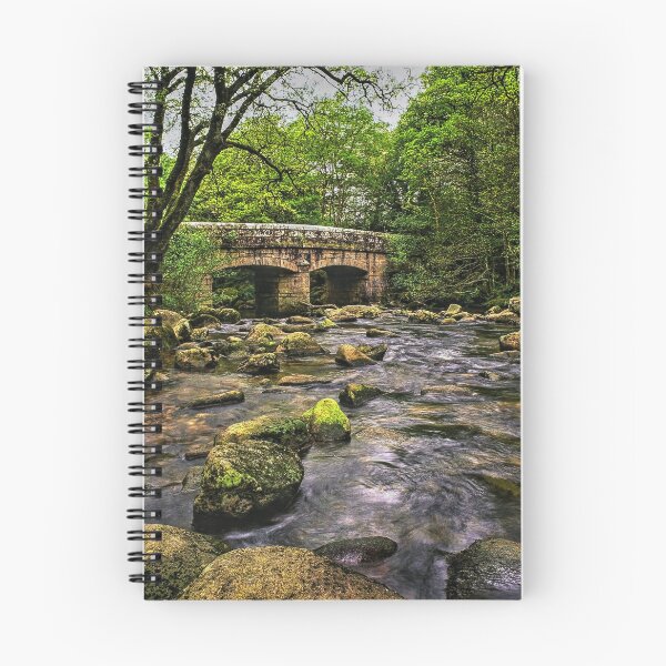 Item preview, Shaugh Bridge & River Plym designed and sold by galpinimages.