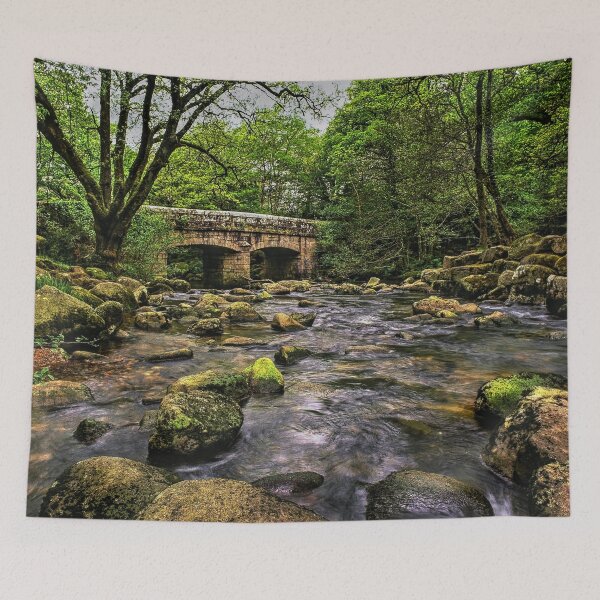 Item preview, Shaugh Bridge & River Plym designed and sold by galpinimages.
