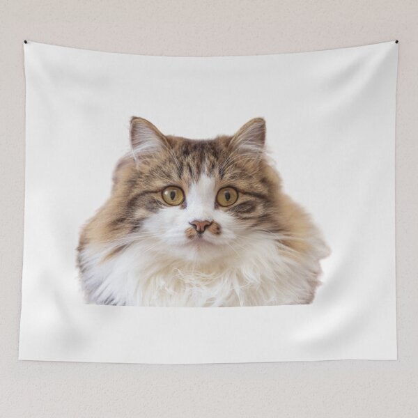 Item preview, FLUFFY BRIGHT KITTEN #1 designed and sold by giantstep.