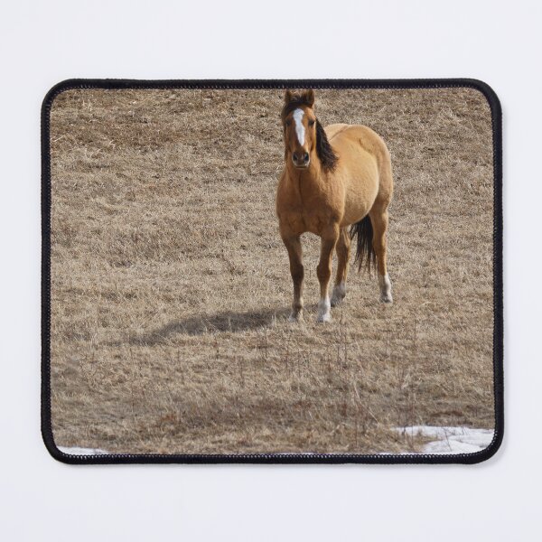 Item preview, Guardian 2 designed and sold by Vivar Photo.