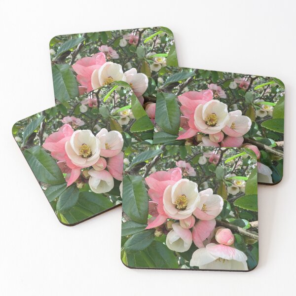Item preview, Spring is here, say it in Flowers! designed and sold by Jennco60.