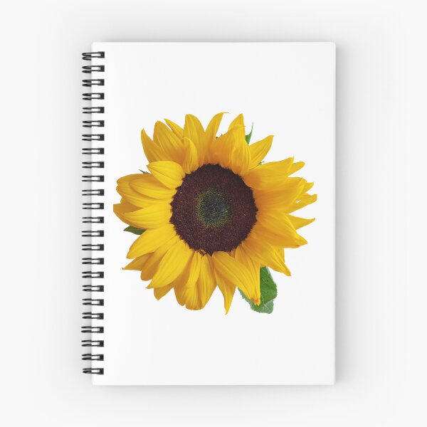 Item preview, Spring and Summer Sunflower essentials designed and sold by KBMeyer.