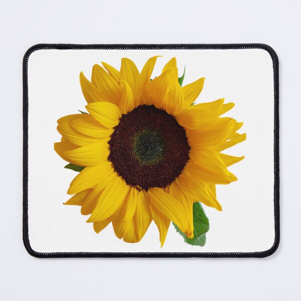 Item preview, Spring and Summer Sunflower essentials designed and sold by KBMeyer.