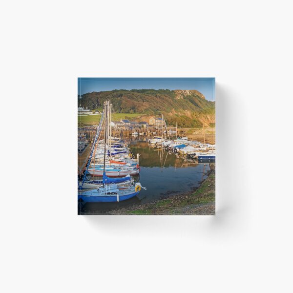 Item preview, Axmouth Harbour & Haven Cliff    designed and sold by galpinimages.