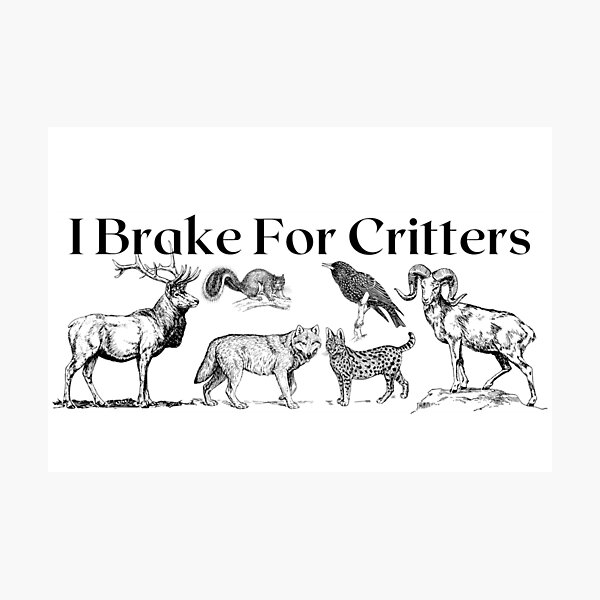 Item preview, I Brake For Critters designed and sold by makayla826.