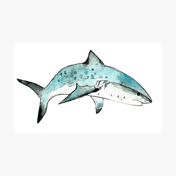 Item preview, Tiger shark watercolor illustration designed and sold by lineosa.