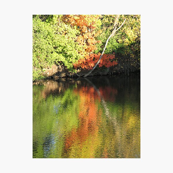 Item preview, Reflection designed and sold by thorn.