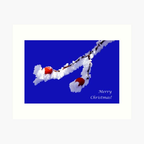 Item preview, christmas rosehip designed and sold by Cornelia Togea.