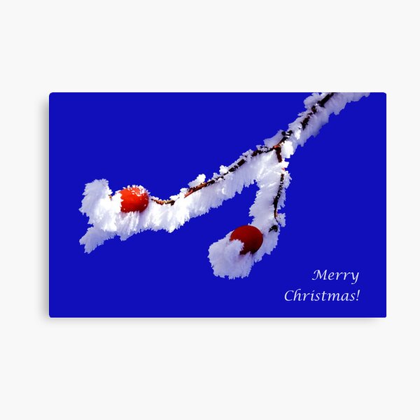 christmas rosehip Canvas Print