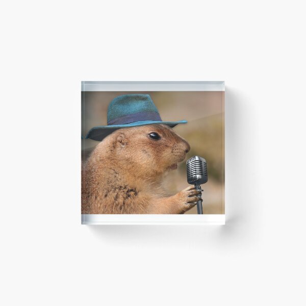 Item preview, Open Mic Night designed and sold by AnnoyedMouse.