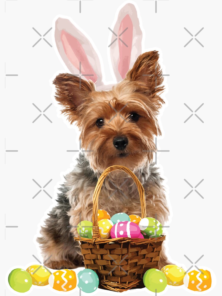 Yorkie Easter Shirt Yorkshire Terrier Bunny Rabbit Ears