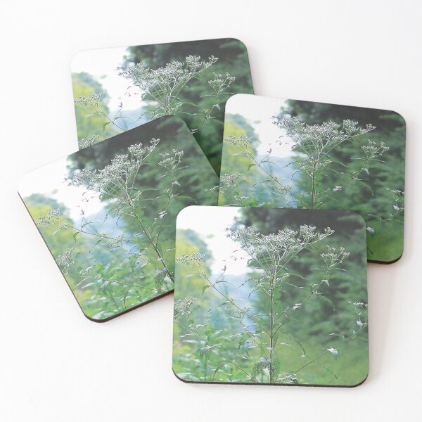 Item preview, Abandoned Railroad and Lost Places 06 designed and sold by Relics Of The Day.