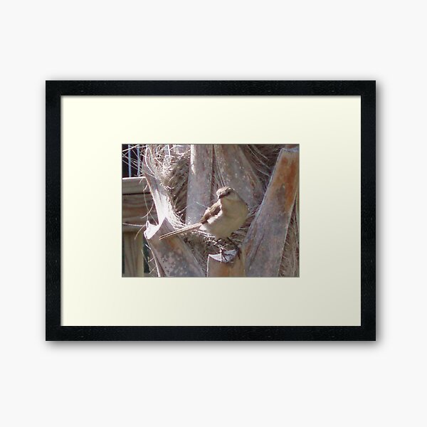 Item preview, Bird in myrtle beach on palm tree designed and sold by Johanna  Rutter.