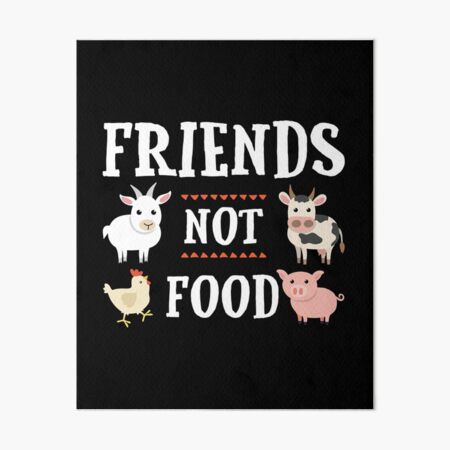 Animals are Friends not Food Sign Bunny ASCII Art Vegetarian Ladies T-Shirt