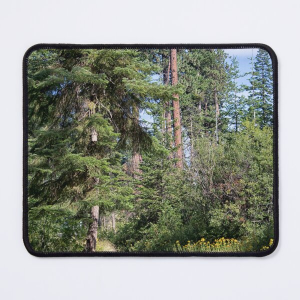 Item preview, walk in the woods designed and sold by MoreGoodArt.