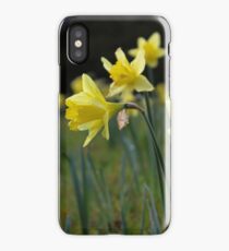 Daffodils iPhone Case/Skin