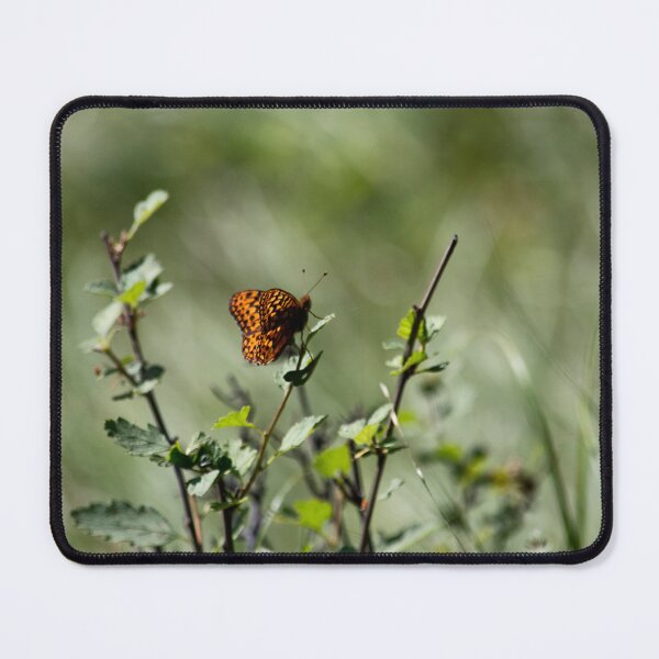 Item preview, Orange Butterfly designed and sold by MoreGoodArt.