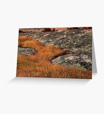 "Grass Stream" Greeting Card