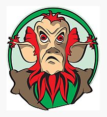 Mean Looking Leprechaun Photographic Print