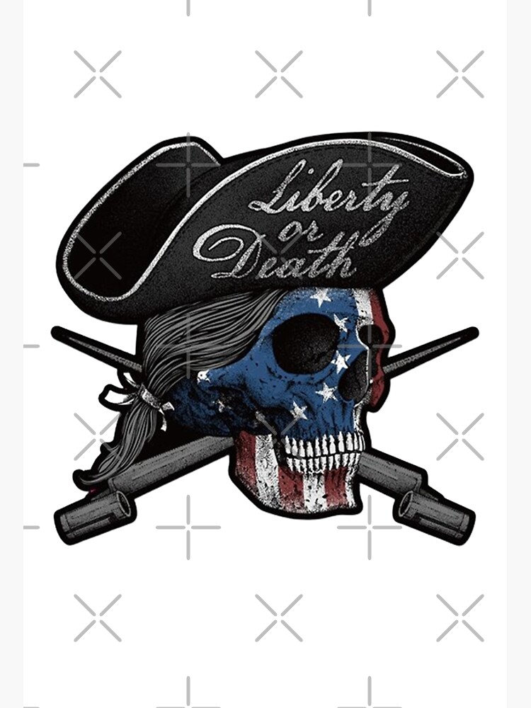 "Our Flag Means Death" Poster for Sale by pingis | Redbubble