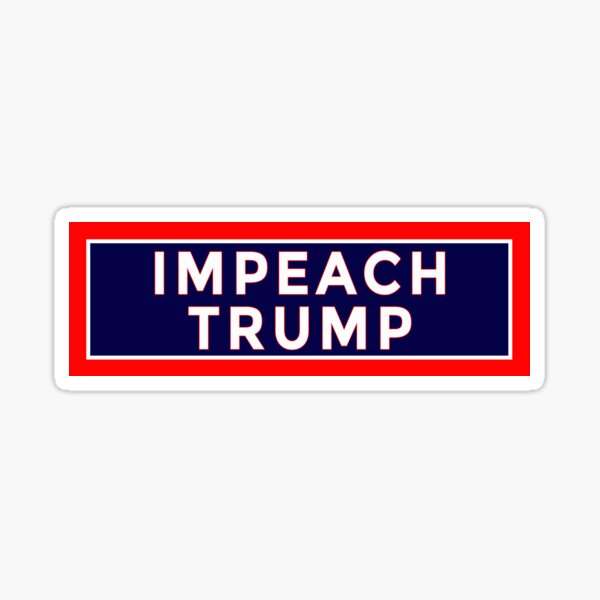 ANY SANE ADULT 2020 Bumper Stickers Impeach Trump Decals 8" 2-pack 