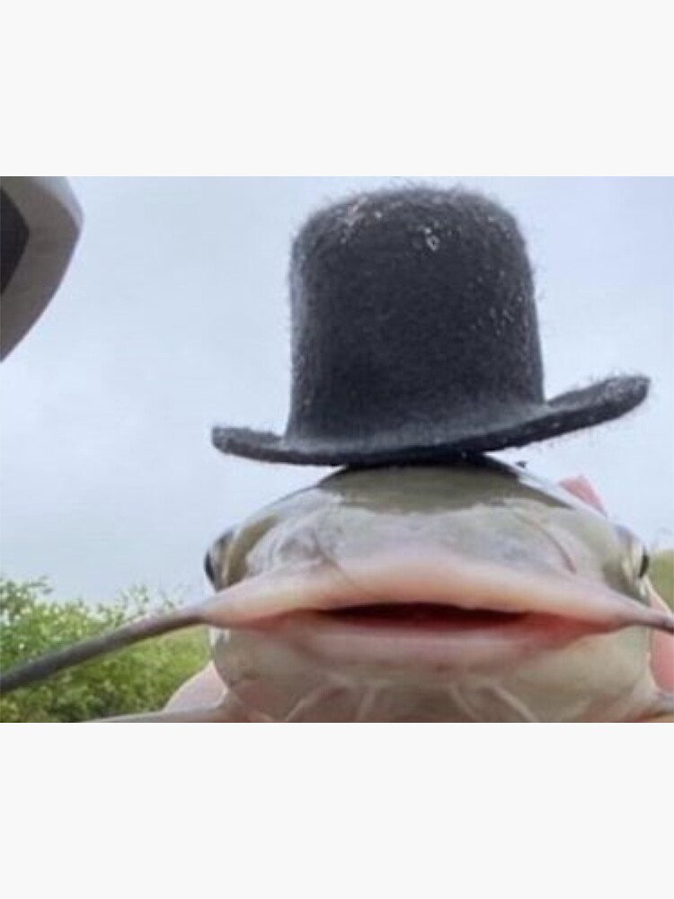 "Catfish Fishing Meme" Sticker for Sale by 1Zaners Redbubble