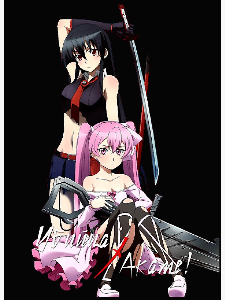 Anime Akame ga Kill! Art