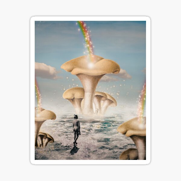 Fungi Rainbows Sticker