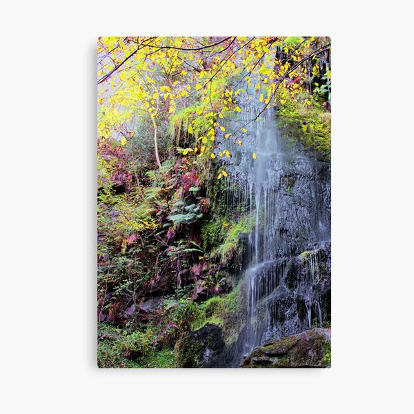 Secret Garden Canvas Print