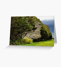 "The Odd One Out" Greeting Card