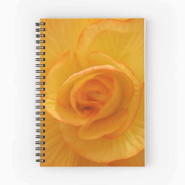 Item preview, Begonia Festival 2 designed and sold by beeden.