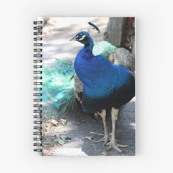 Item preview, Beautiful Fellow......... designed and sold by DonnaMoore.