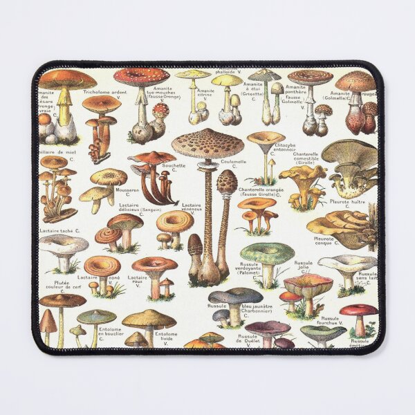 Item preview, Shrooms designed and sold by Swags.