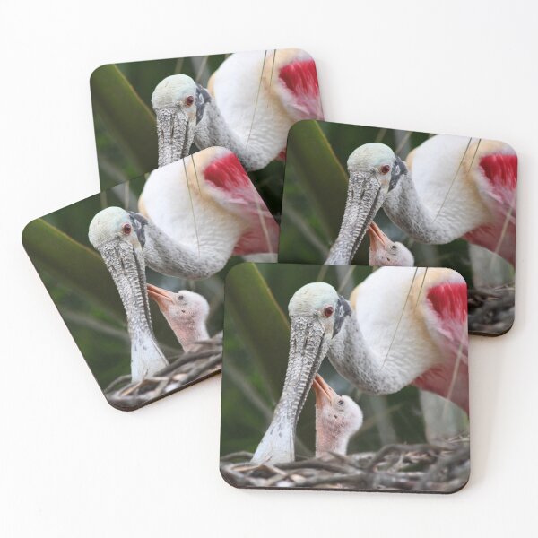 Item preview, Roseate Spoonbill Chick Looking Up To Mom designed and sold by richardbryce.
