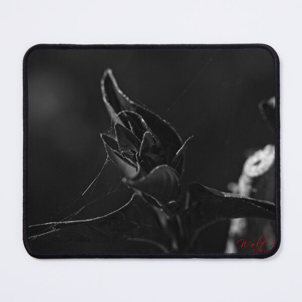 Item preview, Autumn Macros (2) designed and sold by Wolf Sverak Photography.
